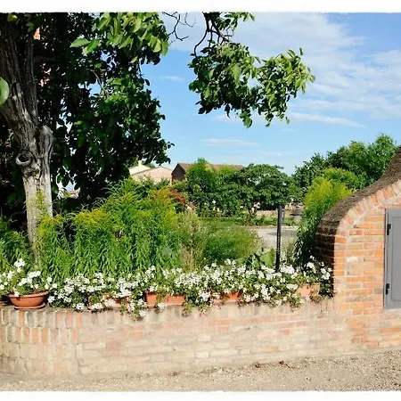 Corte Delle Giuggiole * Cologna Veneta